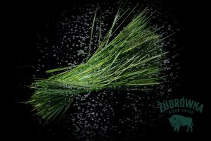 sesja reklamowa alkoholu